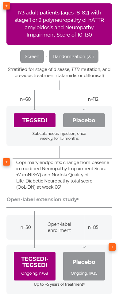 Neuro-TTR study design placebo vs. TEGSEDI® (inotersen)