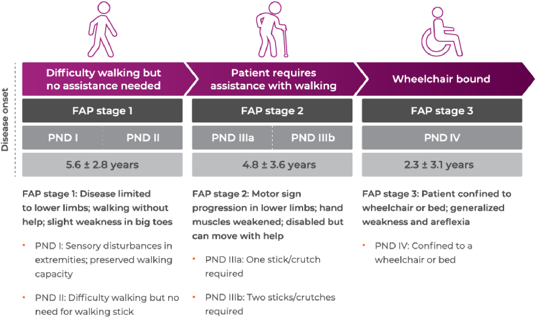 Diagram of hATTR amyloidosis progression by FAP stages